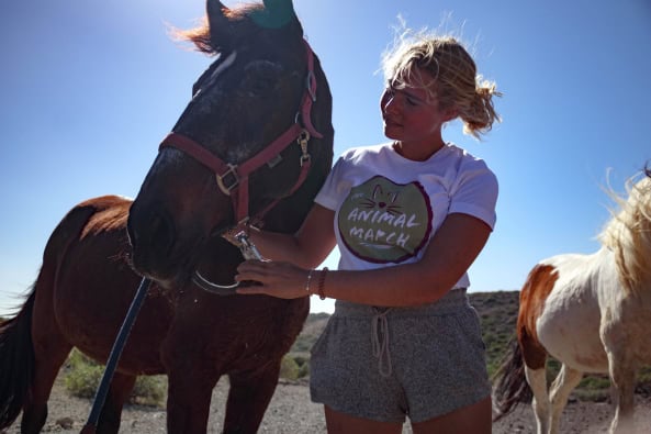 “Animal March”: Wandern Sie mit für Tiere auf Teneriffa