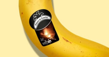 Banane Kanaren La Palma Vulkan Etikett