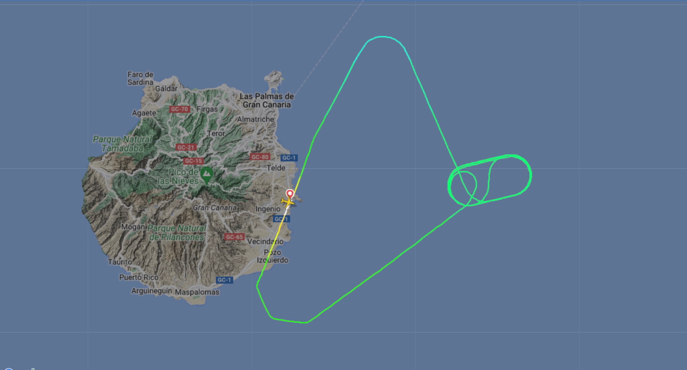 Flug Vogelschlag Gran Canaria Madrid Notlandung