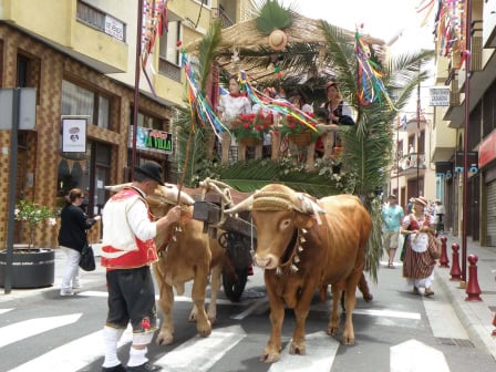 Fotos: So bunt ist die Fronleichnamsprozession in La Orotava