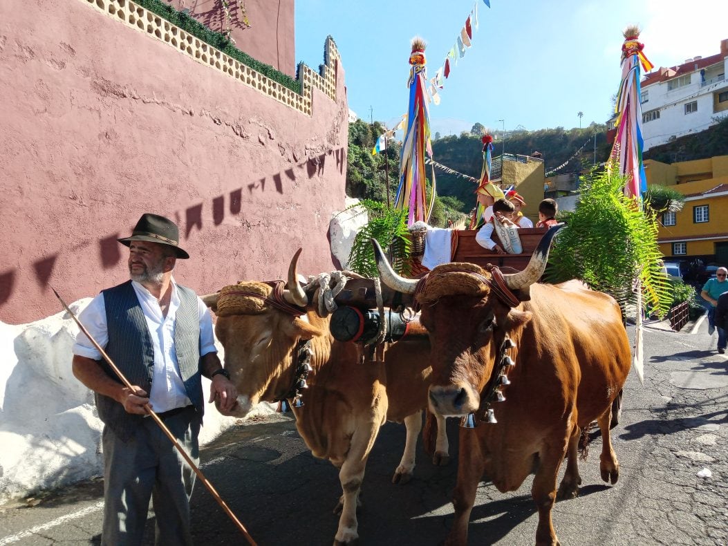 Ochsenkarren auf der Romería de La Florida