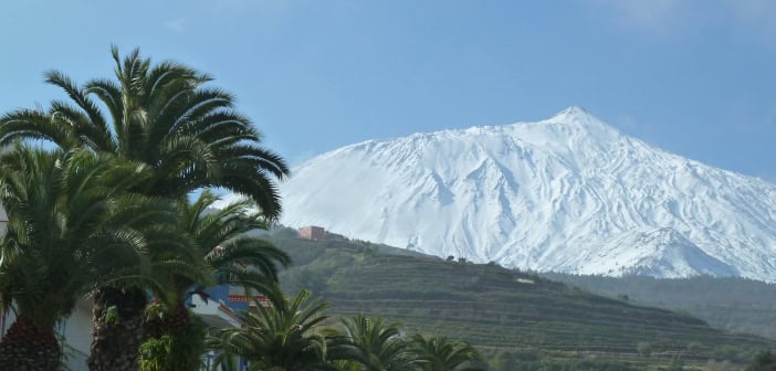 Teneriffa Teide Schnee Palme