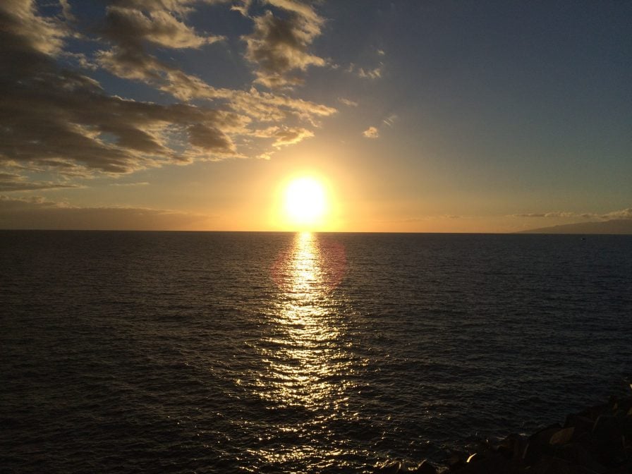 Whale Watching Teneriffa Sonnenuntergang