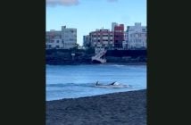 Hai Strand Gran Canaria