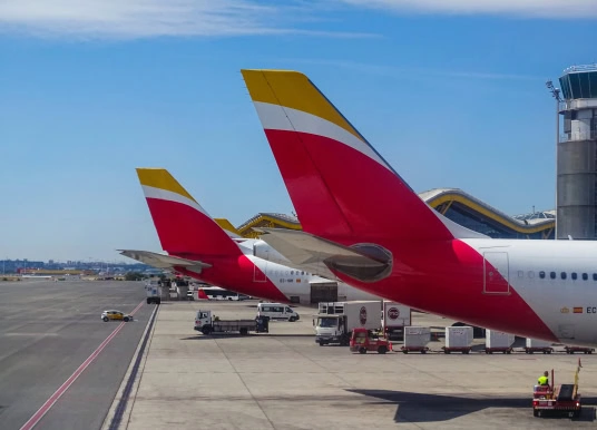 Im Cockpit: Iberia-Pilot von Tarantel gebissen