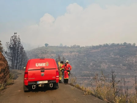 Kanaren in Sorge vor Waldbränden – Alarmstufe bleibt hoch