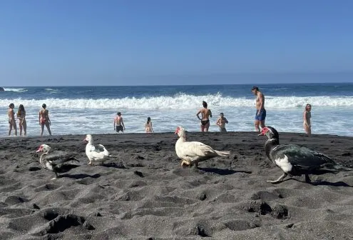 Fotos: Schön und gefährlich – die Playa Bollullo auf Teneriffa