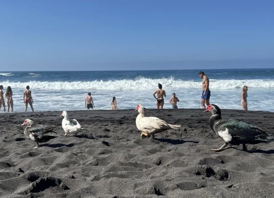 Fotos: Schön und gefährlich – das ist die Playa Bollullo auf Teneriffa