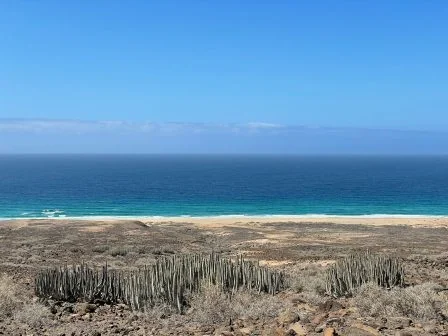 Sieben Kanaren-Strände gehören zu den schönsten in Spanien