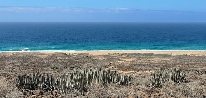 Playa Cofete Fuerteventura Kanaren