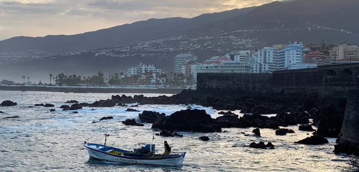 Puerto de la Cruz Teneriffa Hafen Fischer