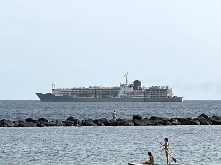 Warum es auf Gran Canaria immer wieder bestialisch stinkt