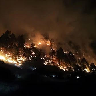 Waldbrand auf La Palma ausgebrochen: 200 Anwohner in Sicherheit gebracht