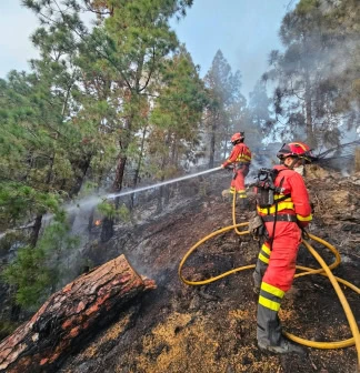 Vier Feuer in zwei Tagen auf Teneriffa – es war wohl Brandstiftung