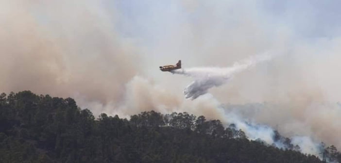 Fotos und Videos der Waldbrände bei Arico auf Teneriffa