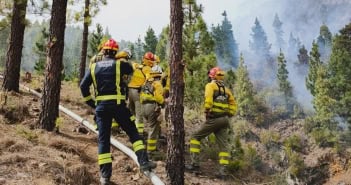 Waldbrand Teneriffa 2022 Feuerwehr Brifor