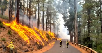 Waldbrand Teneriffa Candelaria 08-2023 Atbrif