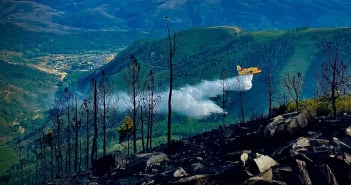 Waldbrand Teneriffa Flugzeug verbrannt 08-2023