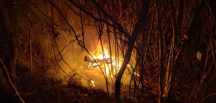 Waldbrand Teneriffa Nacht Flammen 08-2023