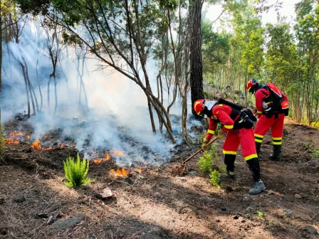 Waldbrand auf Teneriffa: Anwohner vor Gericht schwer belastet