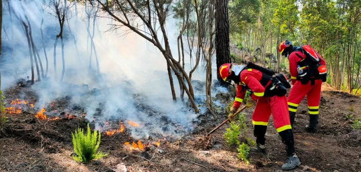 Waldbrand Teneriffa Nord UME